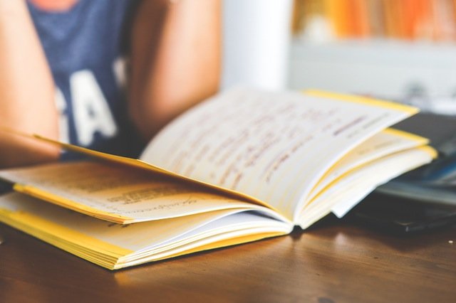 student ma działalność gospodarczą - blog efectivo